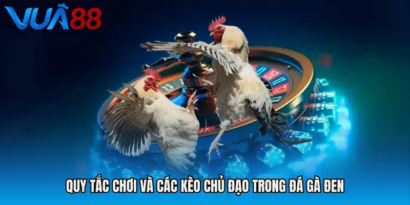 Quy Tắc Chơi Và Các Kèo Chủ Đạo Trong Đá Gà Đen